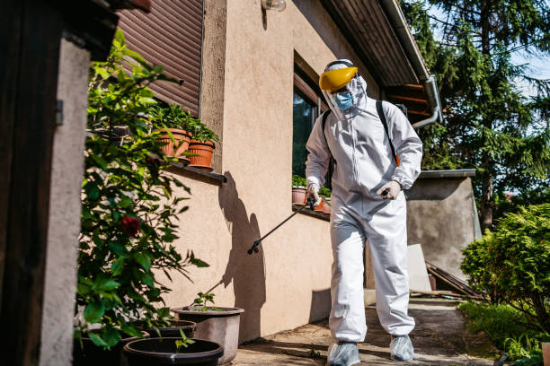 Best Affordable Pest Control Services  in Suquamish, WA