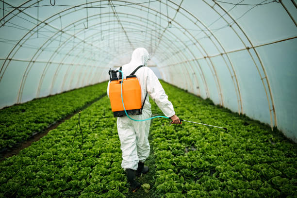 Best Best Pest Control Companies  in Suquamish, WA