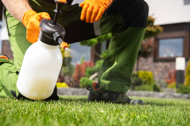 Best Rat Extermination Near Me  in Suquamish, WA