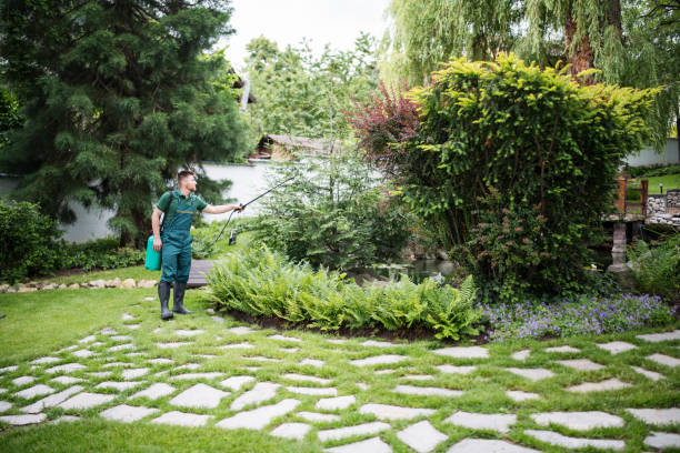 Best Flea Control Services  in Suquamish, WA