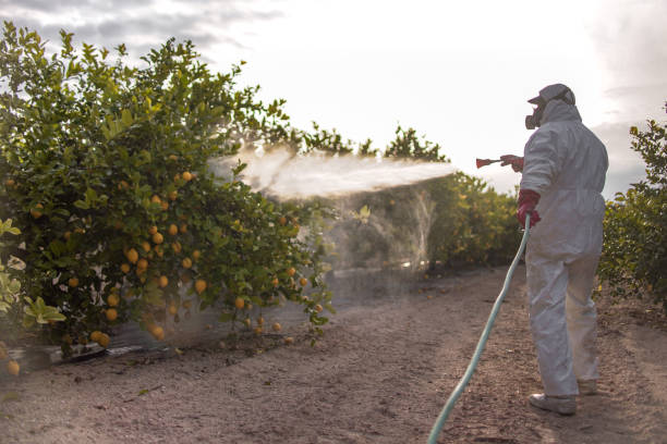Best Emergency Pest Control  in Suquamish, WA
