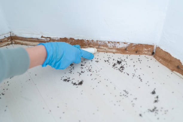 Best Commercial Pest Control Services  in Suquamish, WA