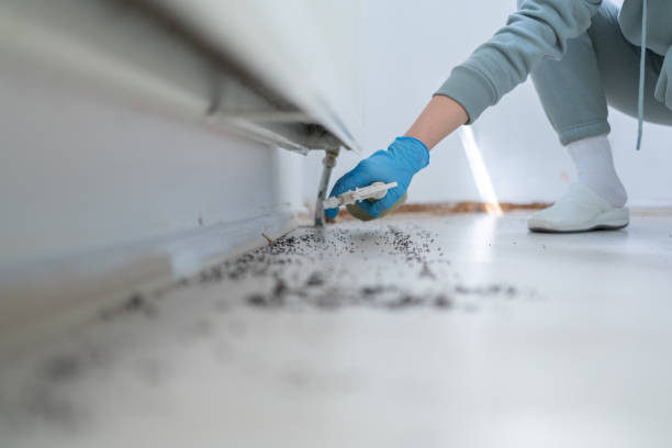 Professional Pest Control in Suquamish, WA